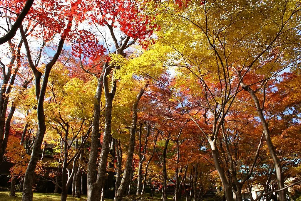 Yutorelo-An Annex Hakone Ryokan